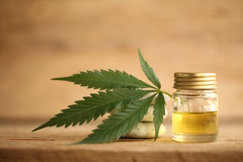 5 Little-Known Uses for CBD Oil
