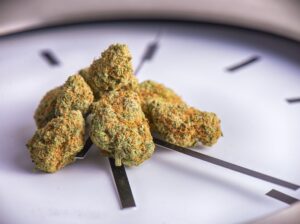 When is the Best Time of the Day to Smoke Cannabis