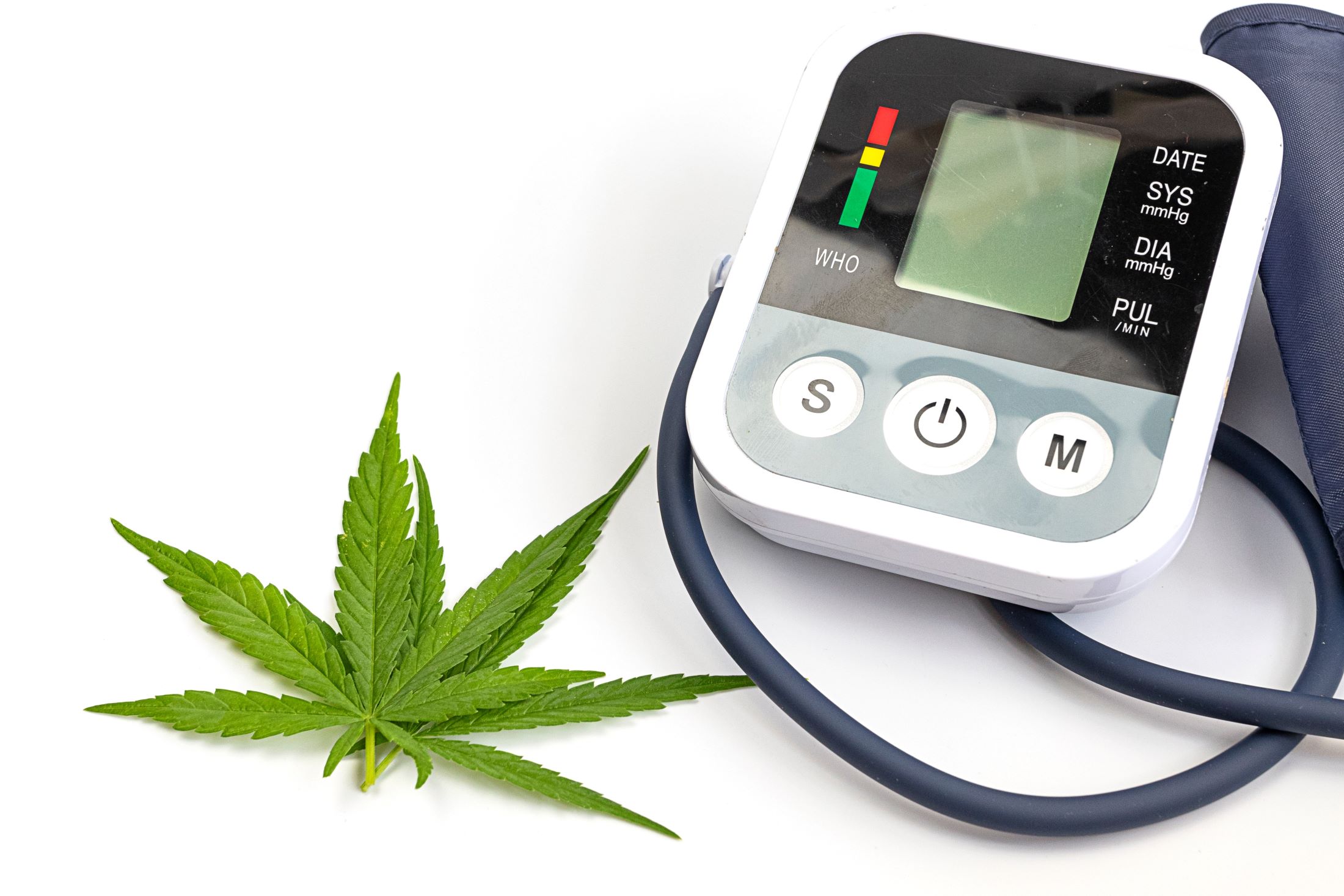 How Does Marijuana Use Affect Blood Pressure