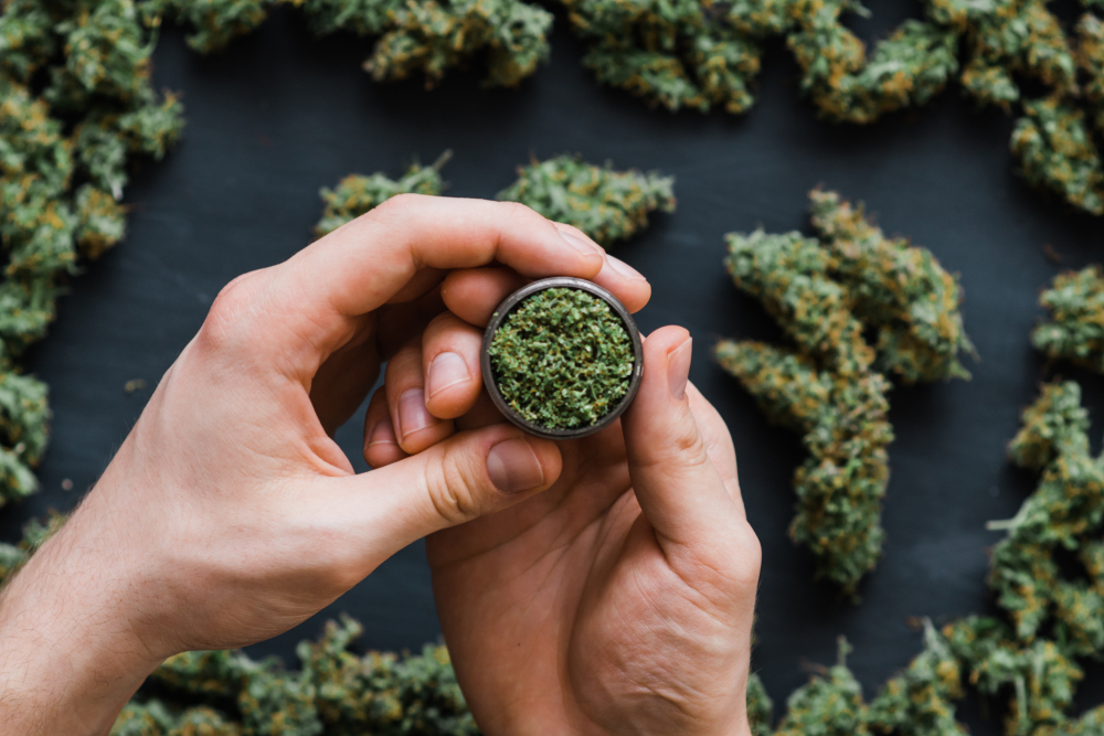 Marijuana/cannabis grinder, miscellaneous buds