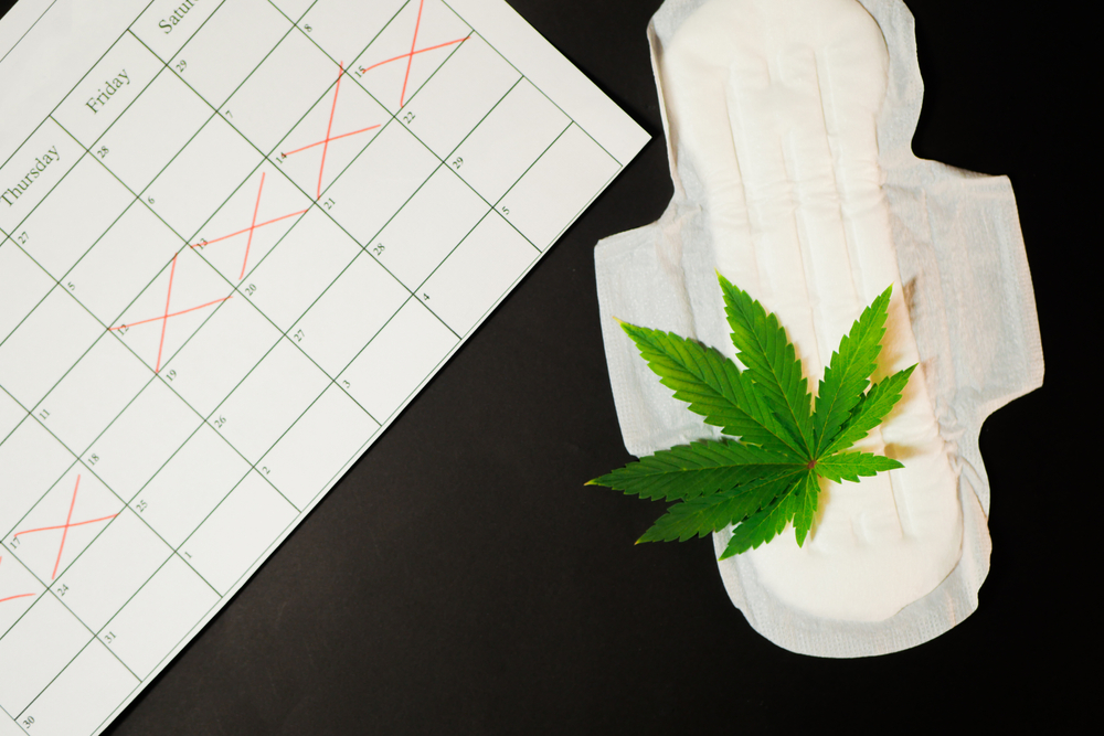 Periods crumps therapy. Cannabis leaf. Hygienic Pad. flat lay. Alternative medicine. Calendar with menstrual circle.
