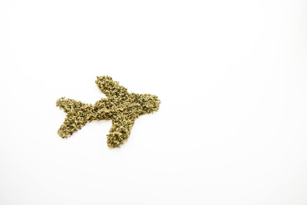 Marijuana in the Shape of Airplane, Travel with Cannabis, Angled