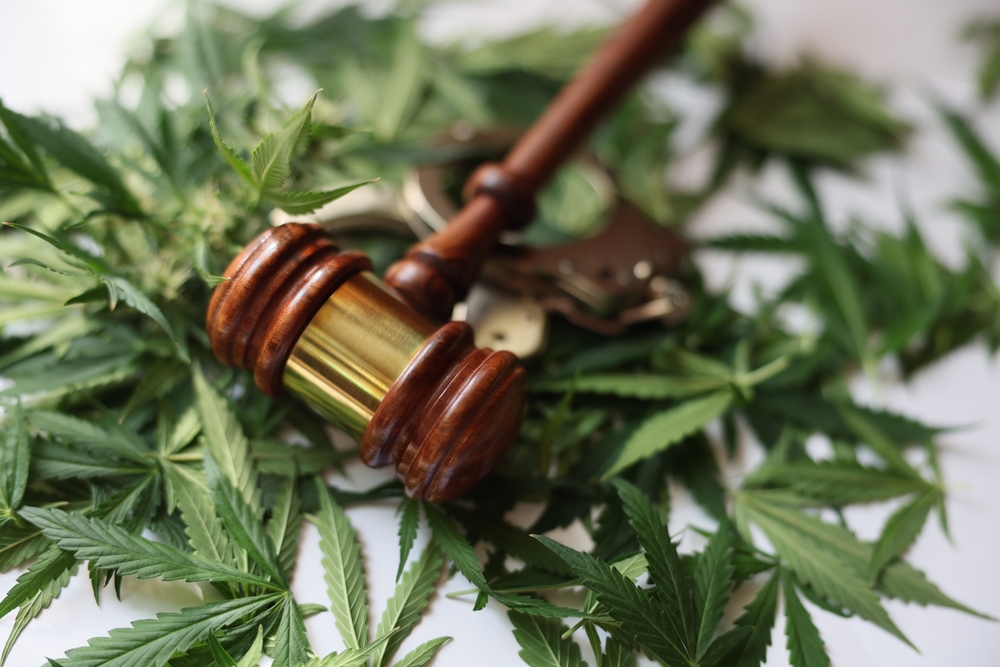 Judge gavel and green marijuana leaves closeup