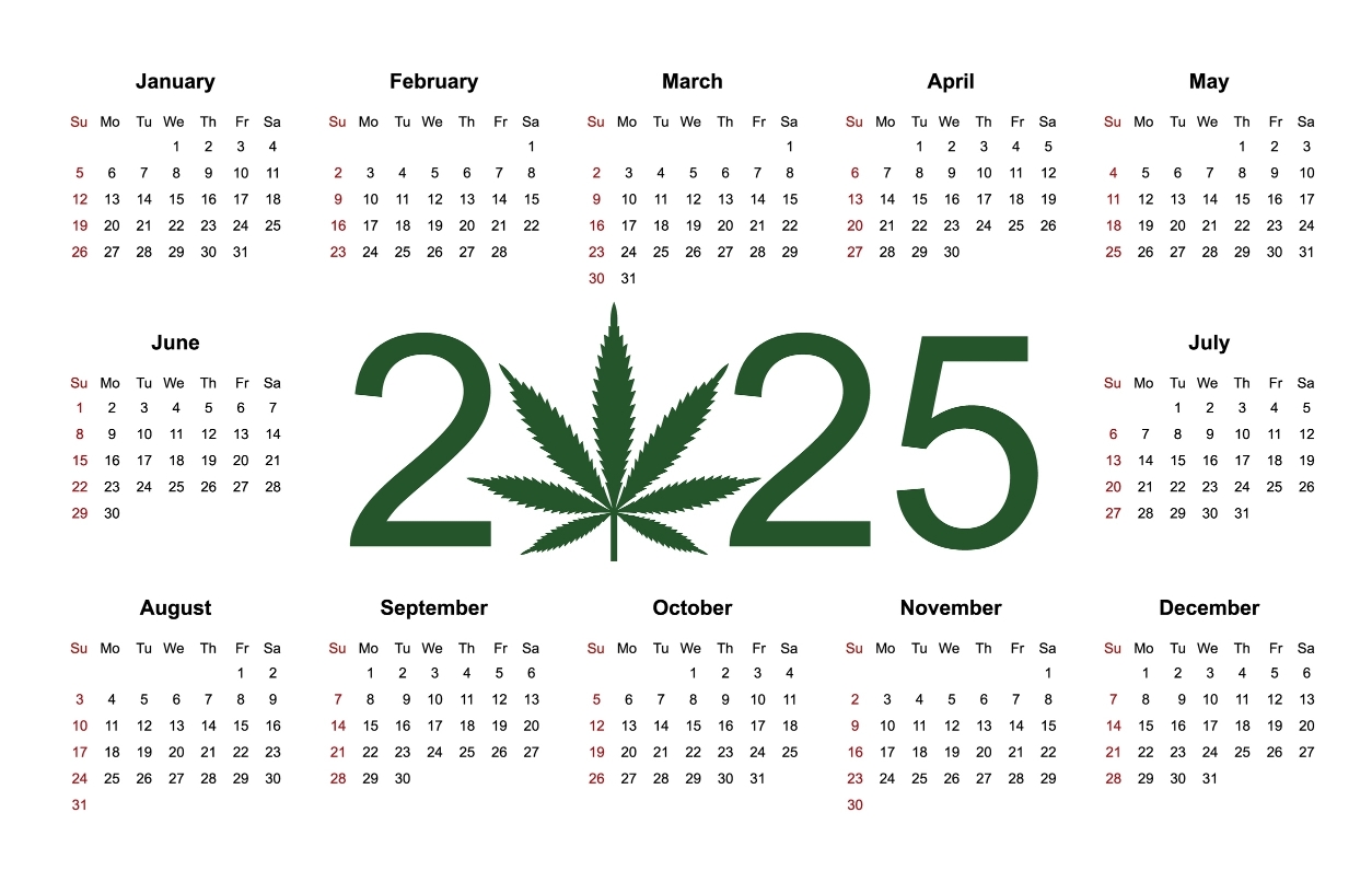 Marijuana calendar for 2025. Medical Cannabis. Simple Vector Template. Isolated vector illustration on white background.