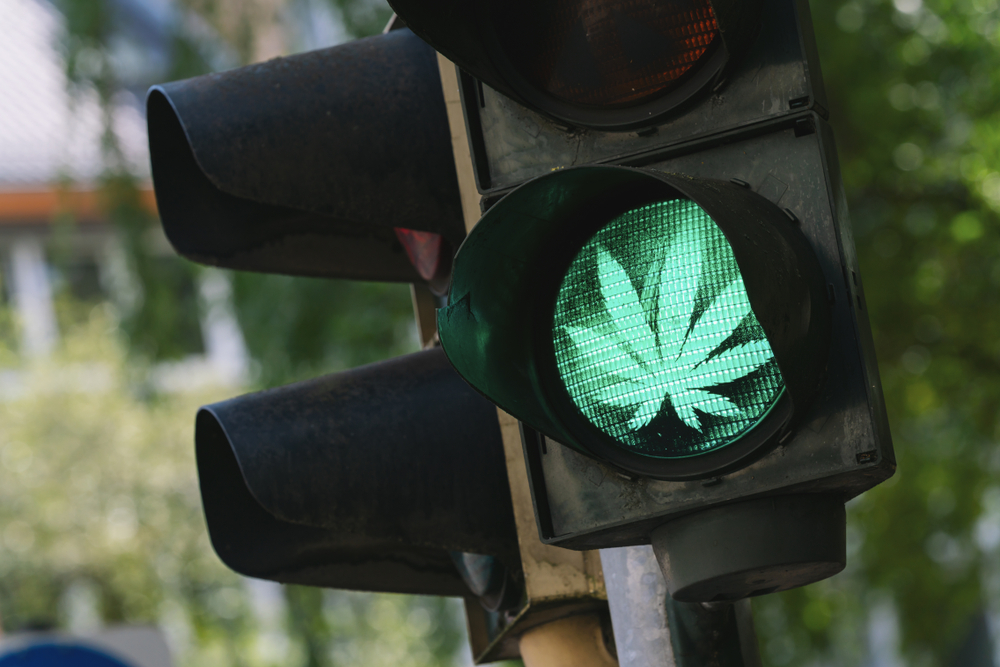 traffic light with Marijuana or cannabis sign