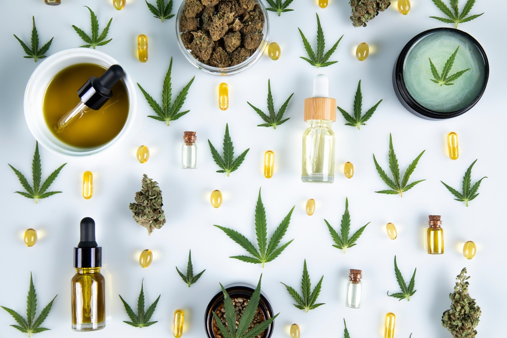 Marijuana plant with medical cannabis, cbd